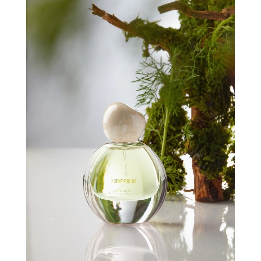 Parfum Scentorium Fragrance After Hours