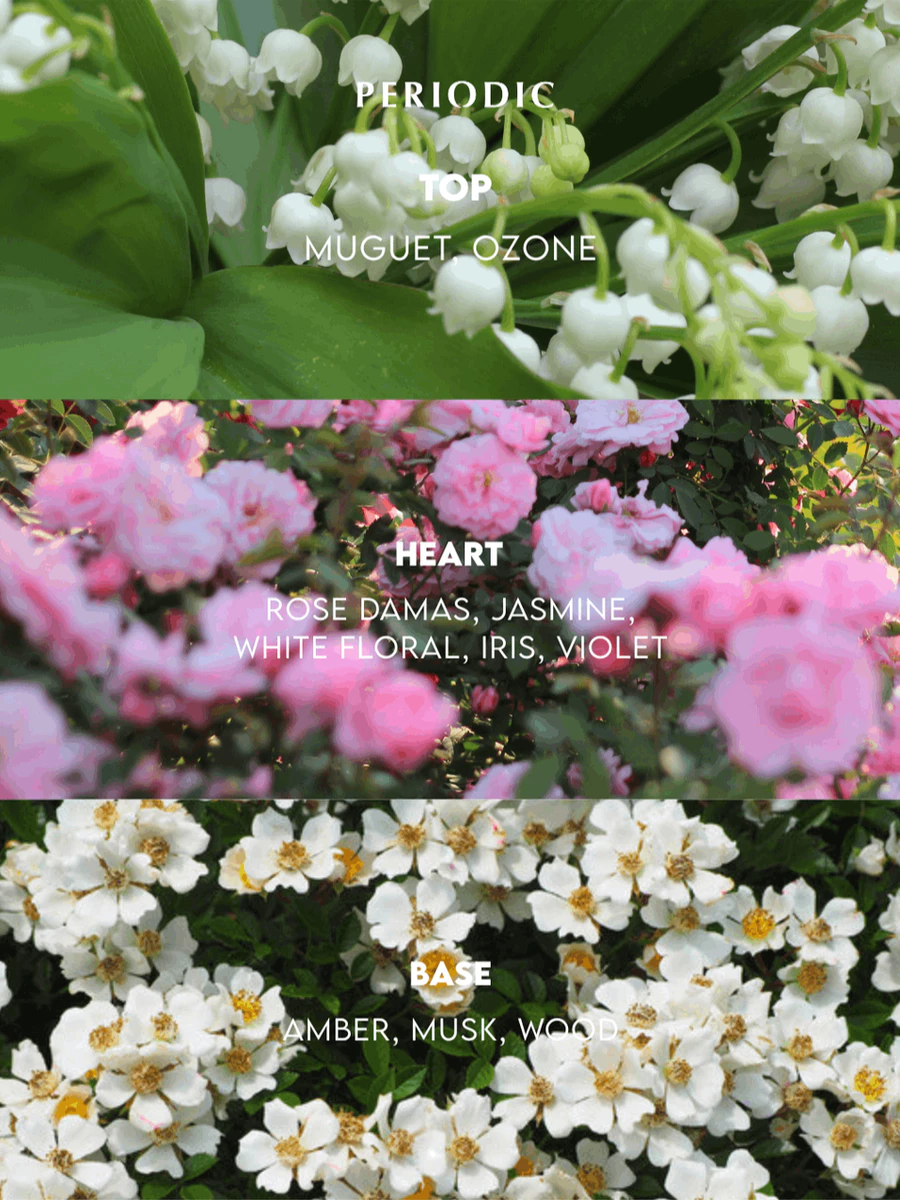 Parfum Periodic 01 IVY