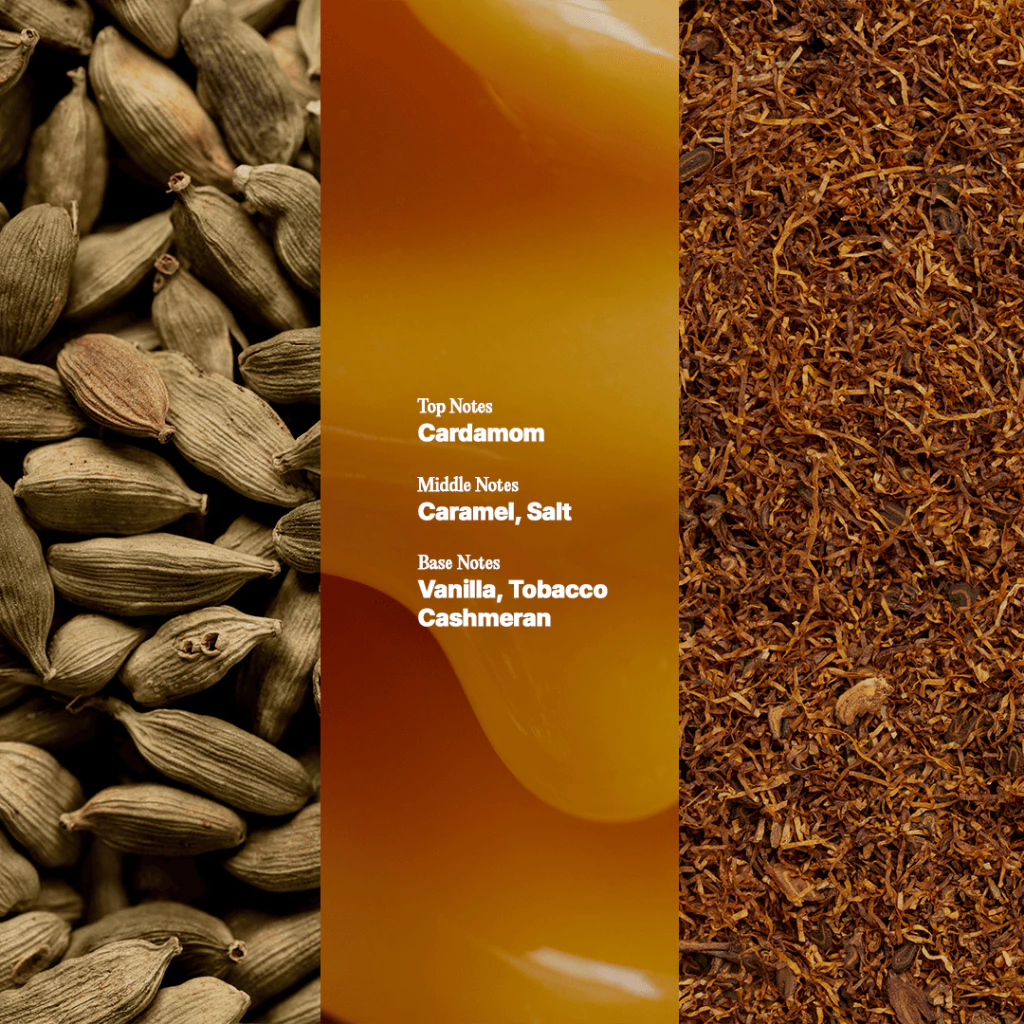 Parfum Sarcasm Fragrance Metamorfa