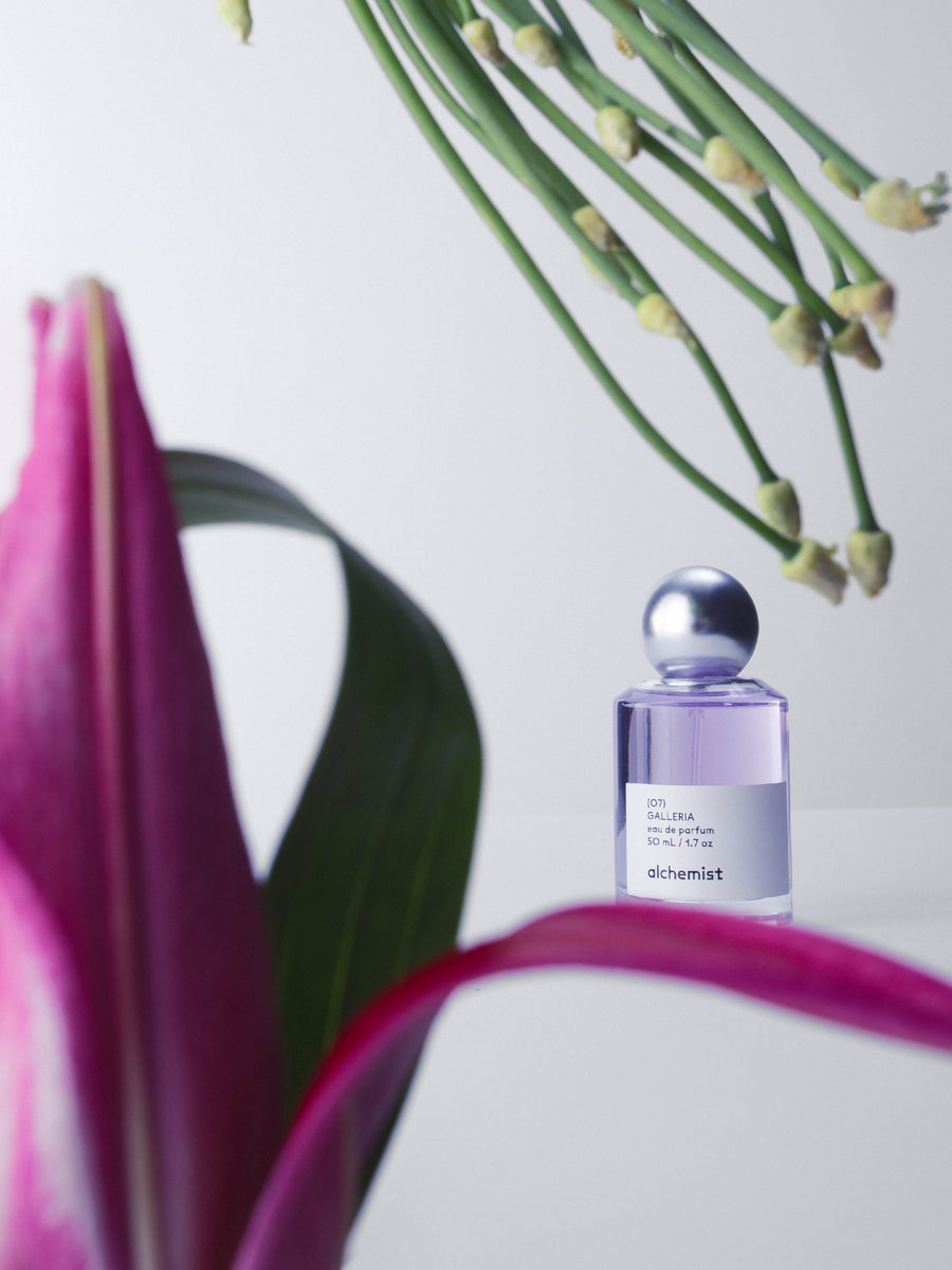 Parfum Alchemist Galleria