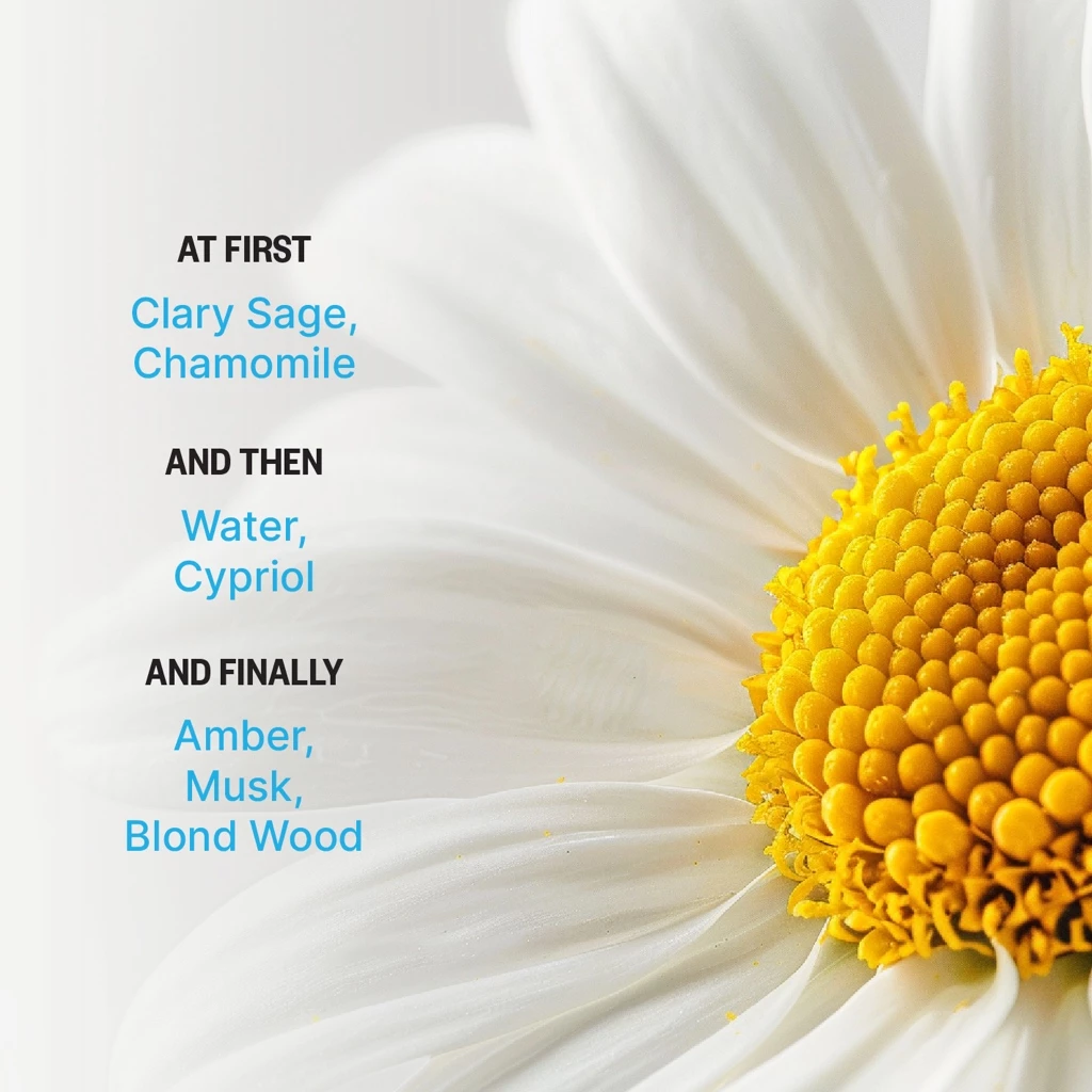 Parfum Forsol Charmomile