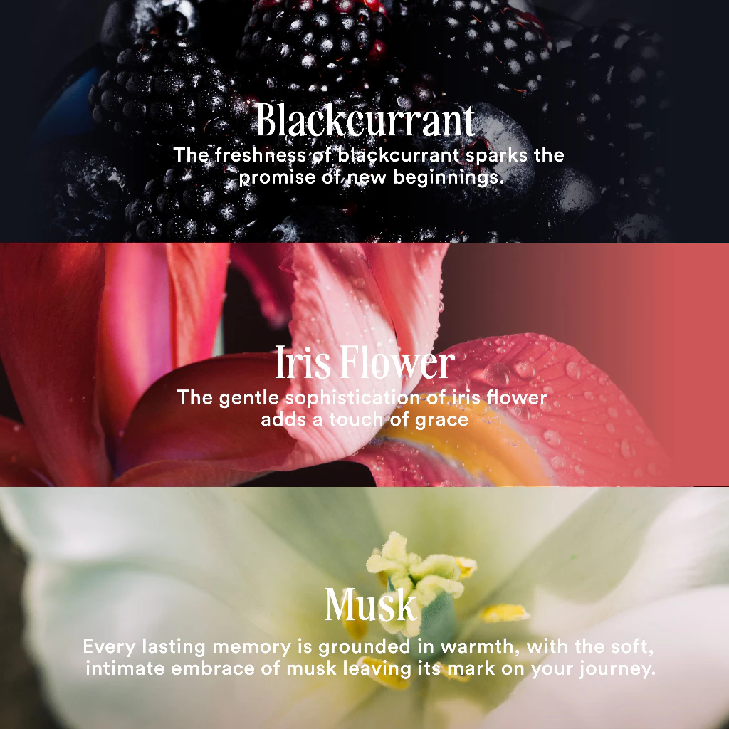 Parfum YN Perfumery CHAPTERS OF ROMANCE