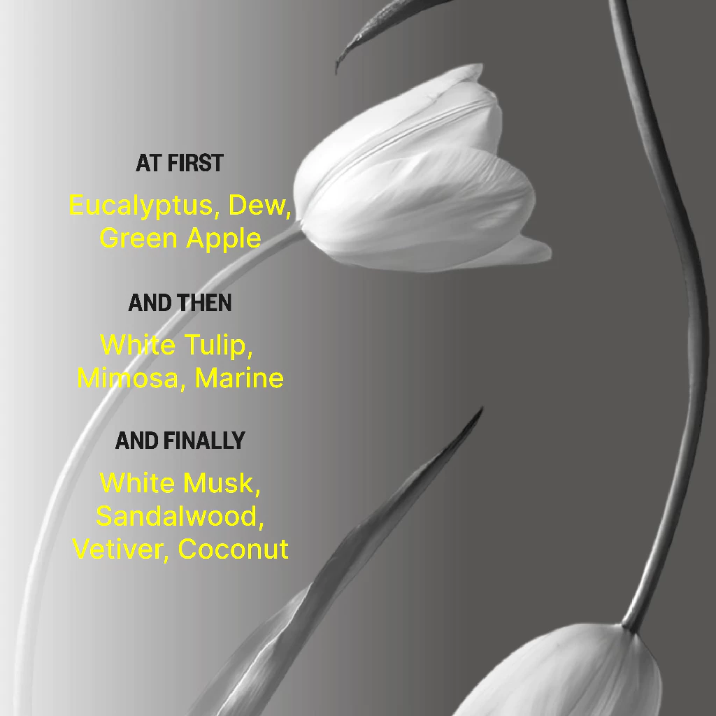 Parfum Forsol Magnetic