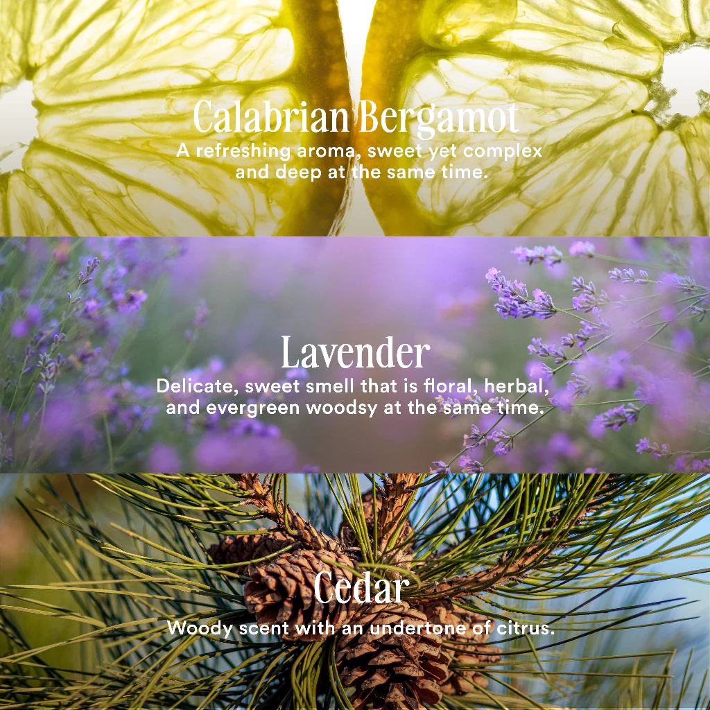 Parfum YN Perfumery Mr. Grey