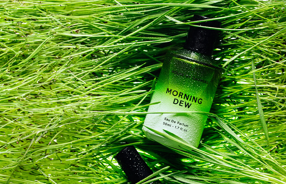 Parfum House of Dappers Morning Dew