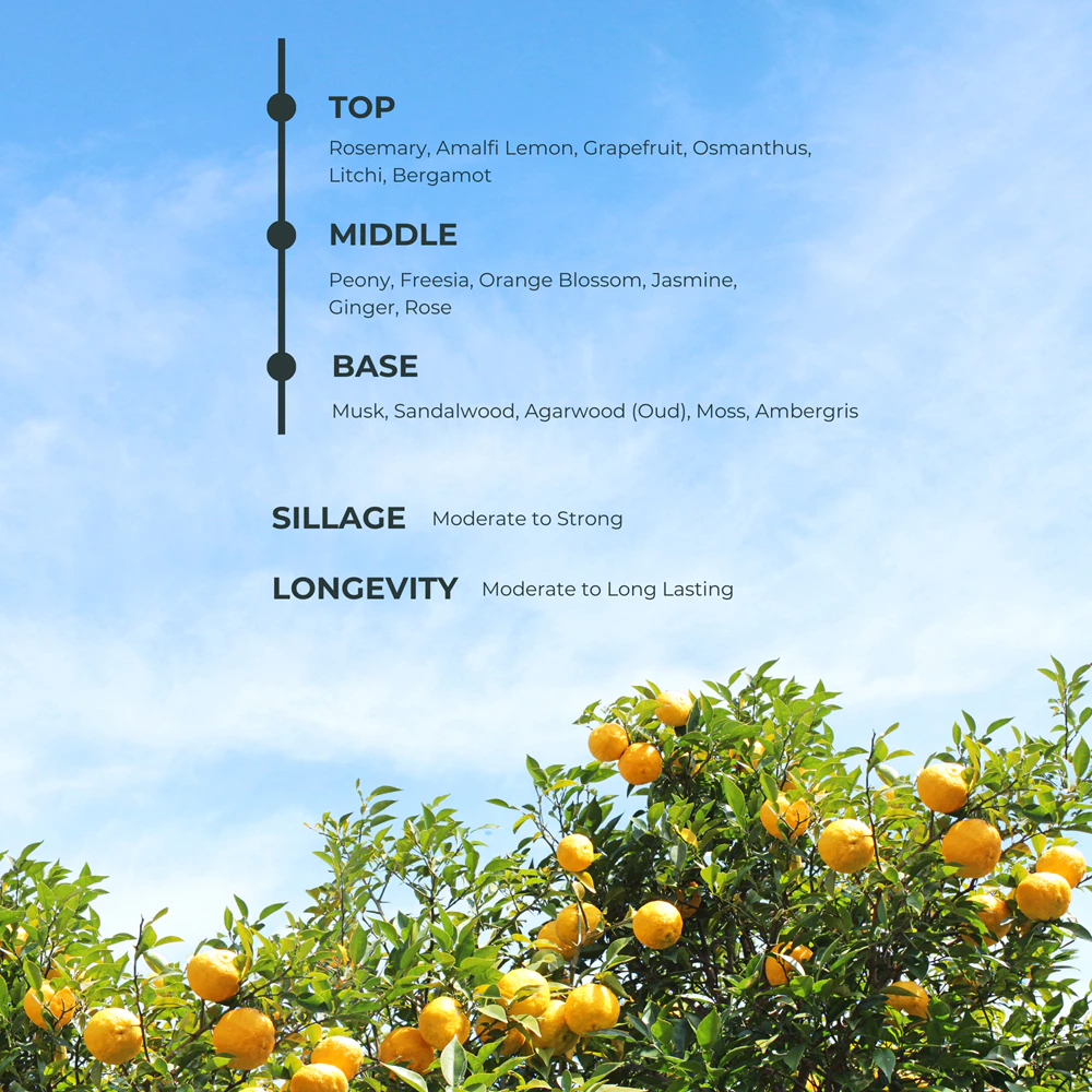 Parfum Loco Scent Harvest Feast