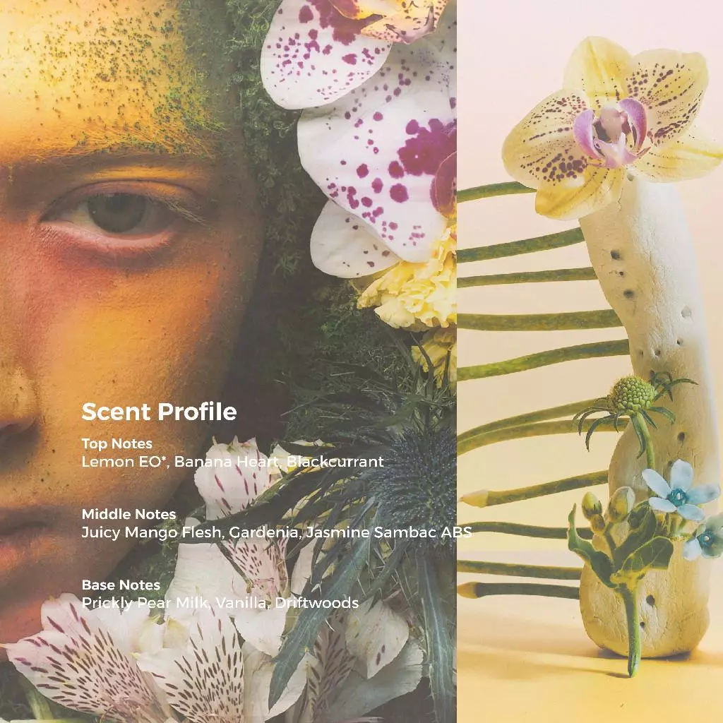 Parfum Scents of Pluto Banana Sambac