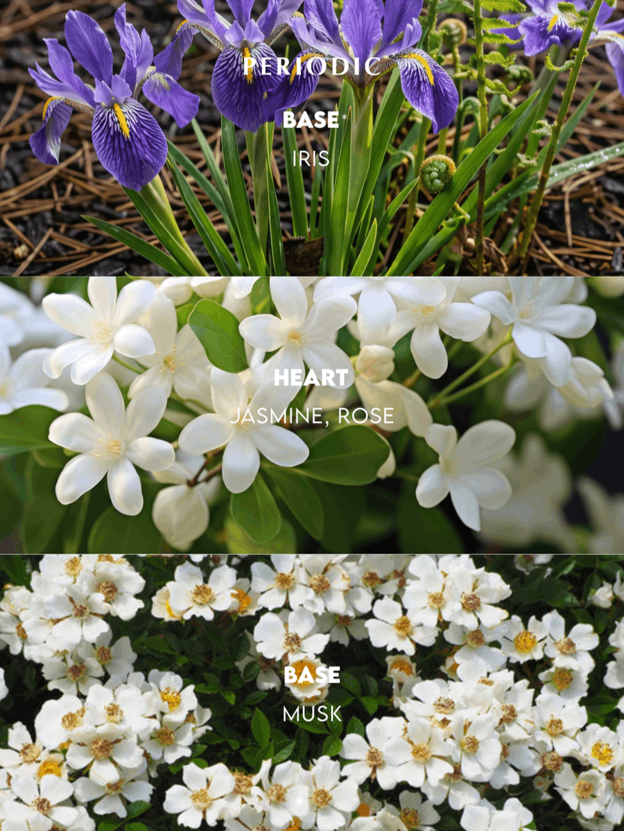 Parfum Periodic 02 PEACHES