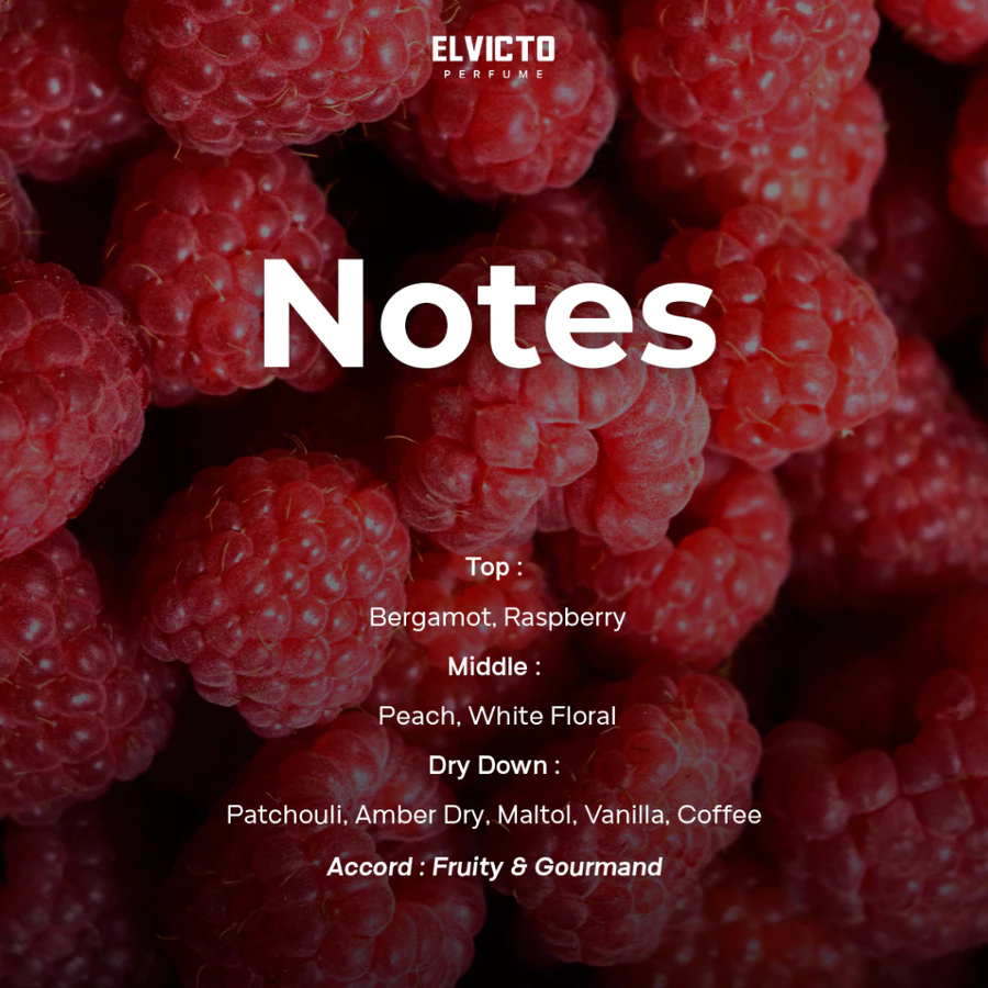 Parfum Elvicto 10 PM