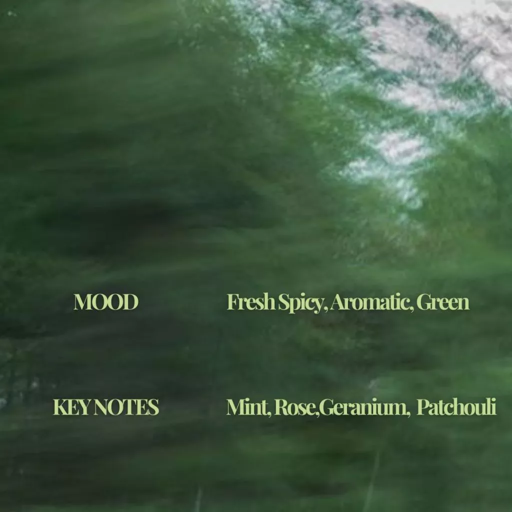 Parfum SUMU MOMENTUM