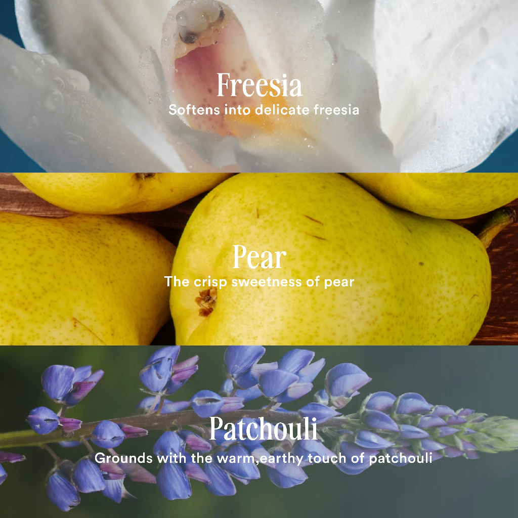 Parfum YN Perfumery On Cloud Nine