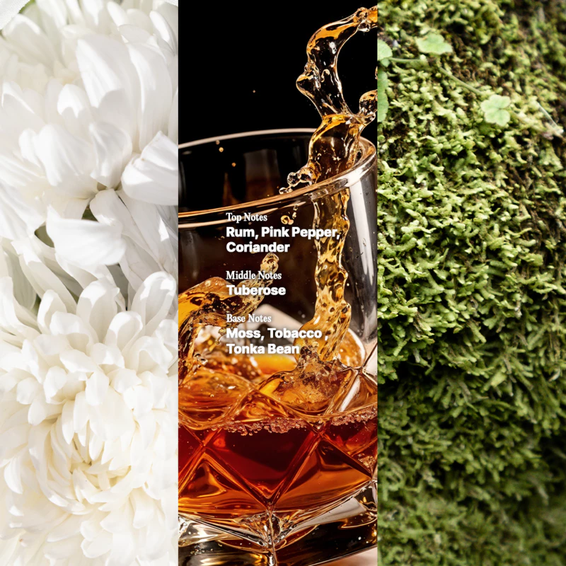 Parfum Sarcasm Fragrance FIRST CLASS