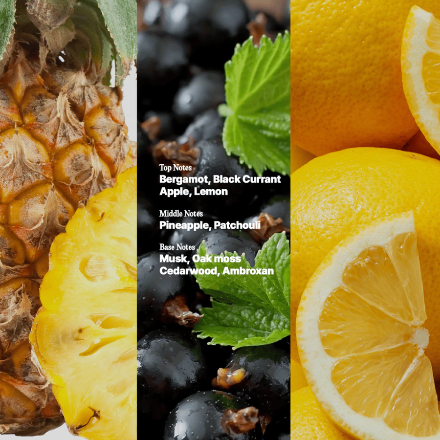 Parfum Sarcasm Fragrance SIGMA