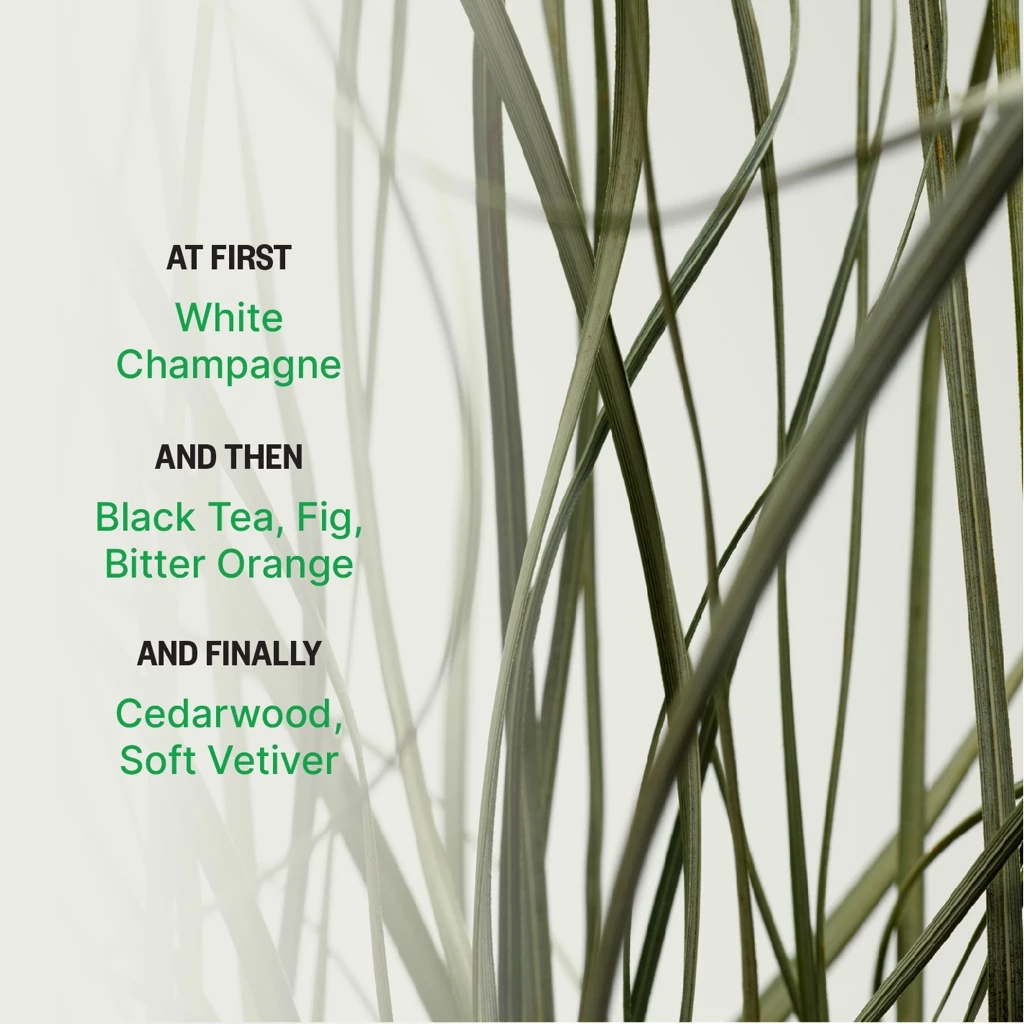 Parfum Forsol Green Scene