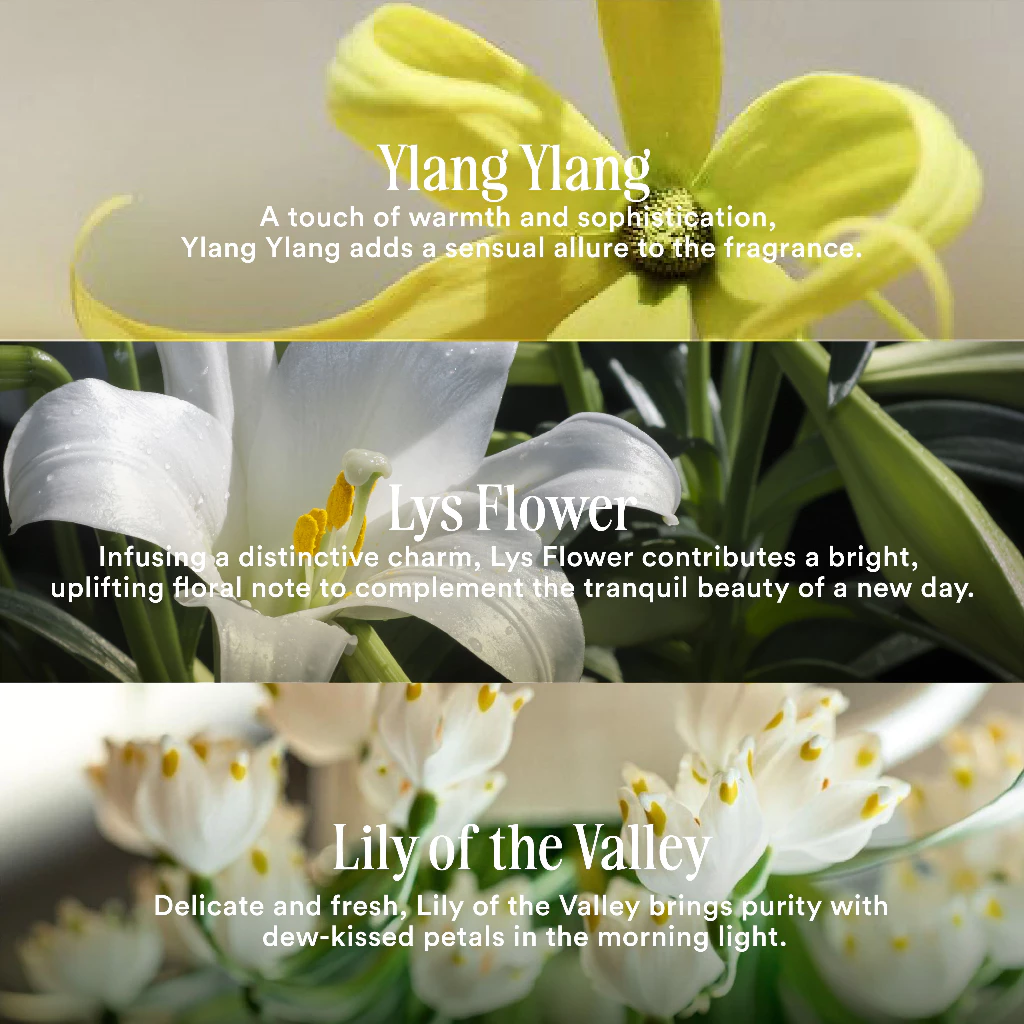 Parfum YN Perfumery THE MORNING AFTER