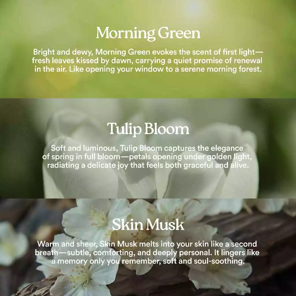 Parfum YN Perfumery Unanimous No 12